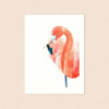 Goed Blauw Wenskaart Pink Lady